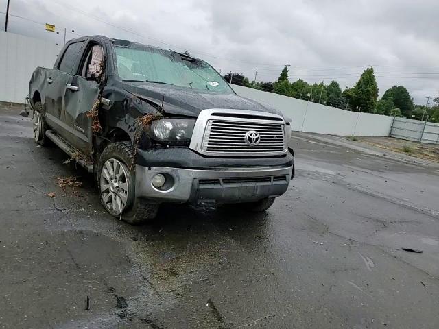 2010 Toyota Tundra Crewmax Limited VIN: 5TFHY5F16AX115204 Lot: 68327754