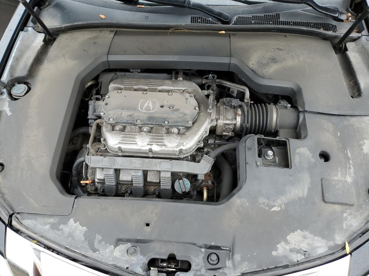 19UUA9F54AA801680 2010 Acura Tl