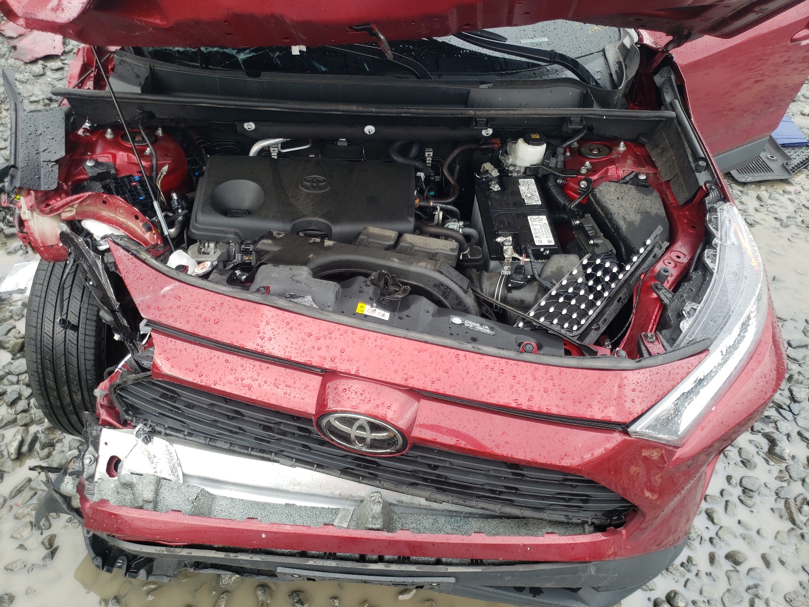 2T3P1RFV3LC135266 2020 Toyota Rav4 Xle