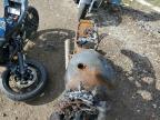 Elgin, IL에서 판매 중인 2014 Triumph Motorcycle Thruxton  - Burn