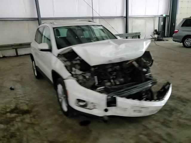 2013 Volkswagen Tiguan S VIN: WVGBV3AX8DW609813 Lot: 66888774