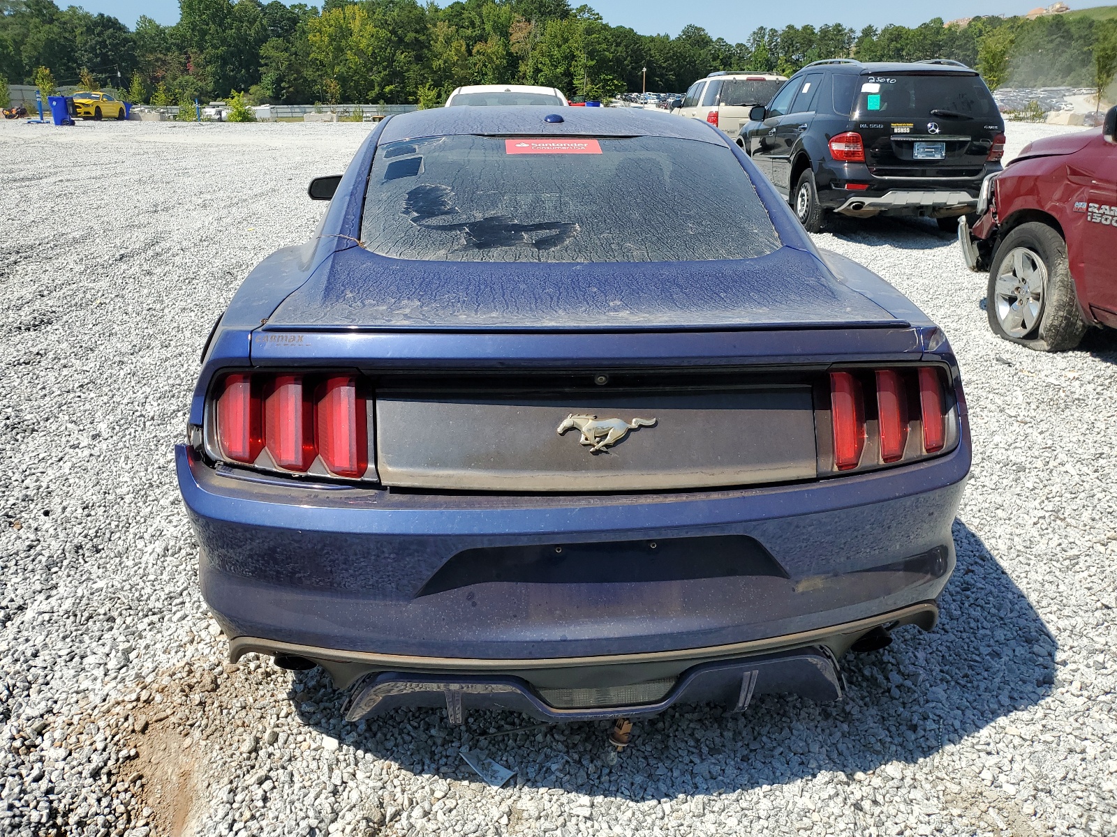 2016 Ford Mustang vin: 1FA6P8THXG5259538