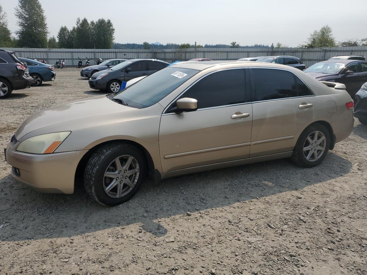 2004 Honda Accord Ex VIN: 1HGCM66594A091049 Lot: 66111524