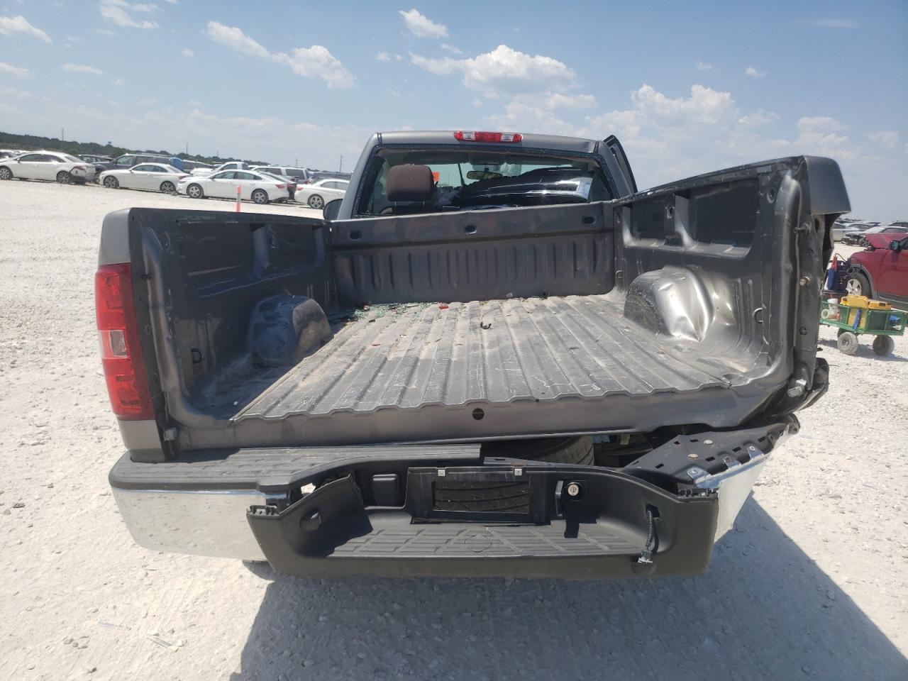 2013 Chevrolet Silverado C1500 VIN: 1GCNCPEA5DZ125553 Lot: 67369734