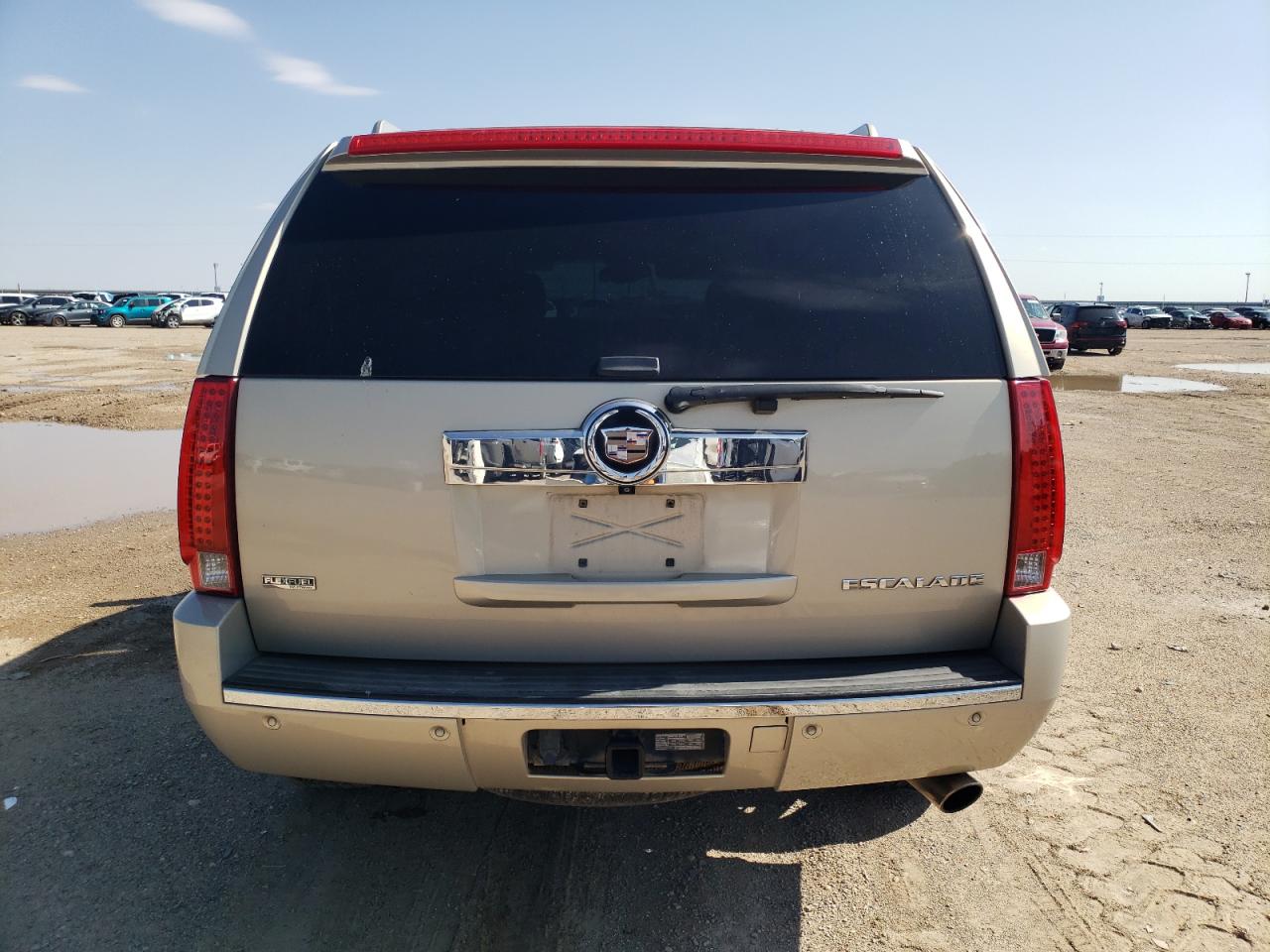 2010 Cadillac Escalade Premium VIN: 1GYUCCEF2AR137553 Lot: 66853004