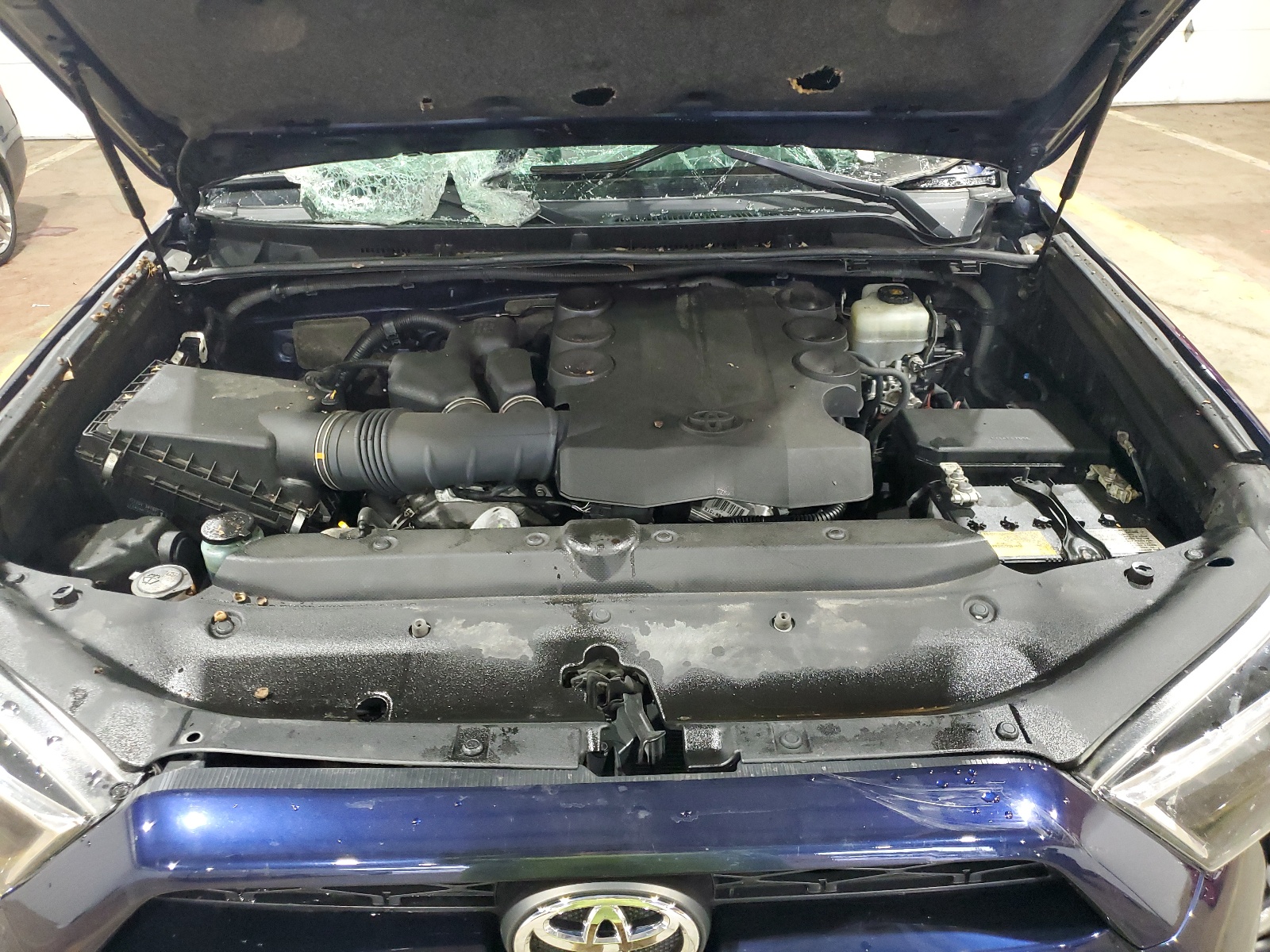 JTEBU5JR6K5721156 2019 Toyota 4Runner Sr5