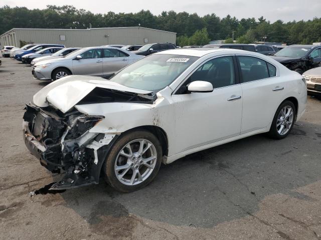 Sedans NISSAN MAXIMA 2012 White