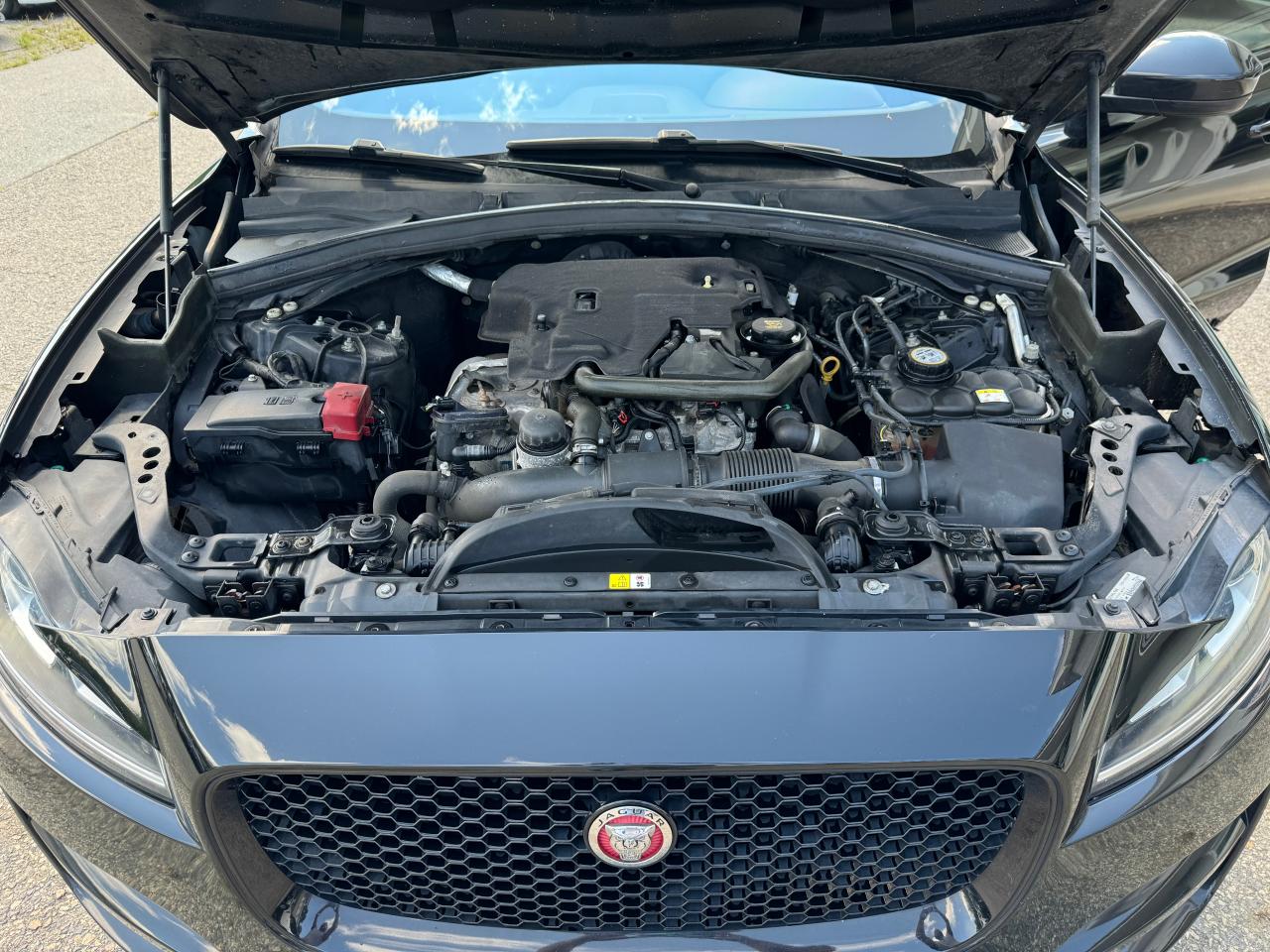 2019 Jaguar F-Pace Premium VIN: SADCJ2FXXKA602044 Lot: 67186584