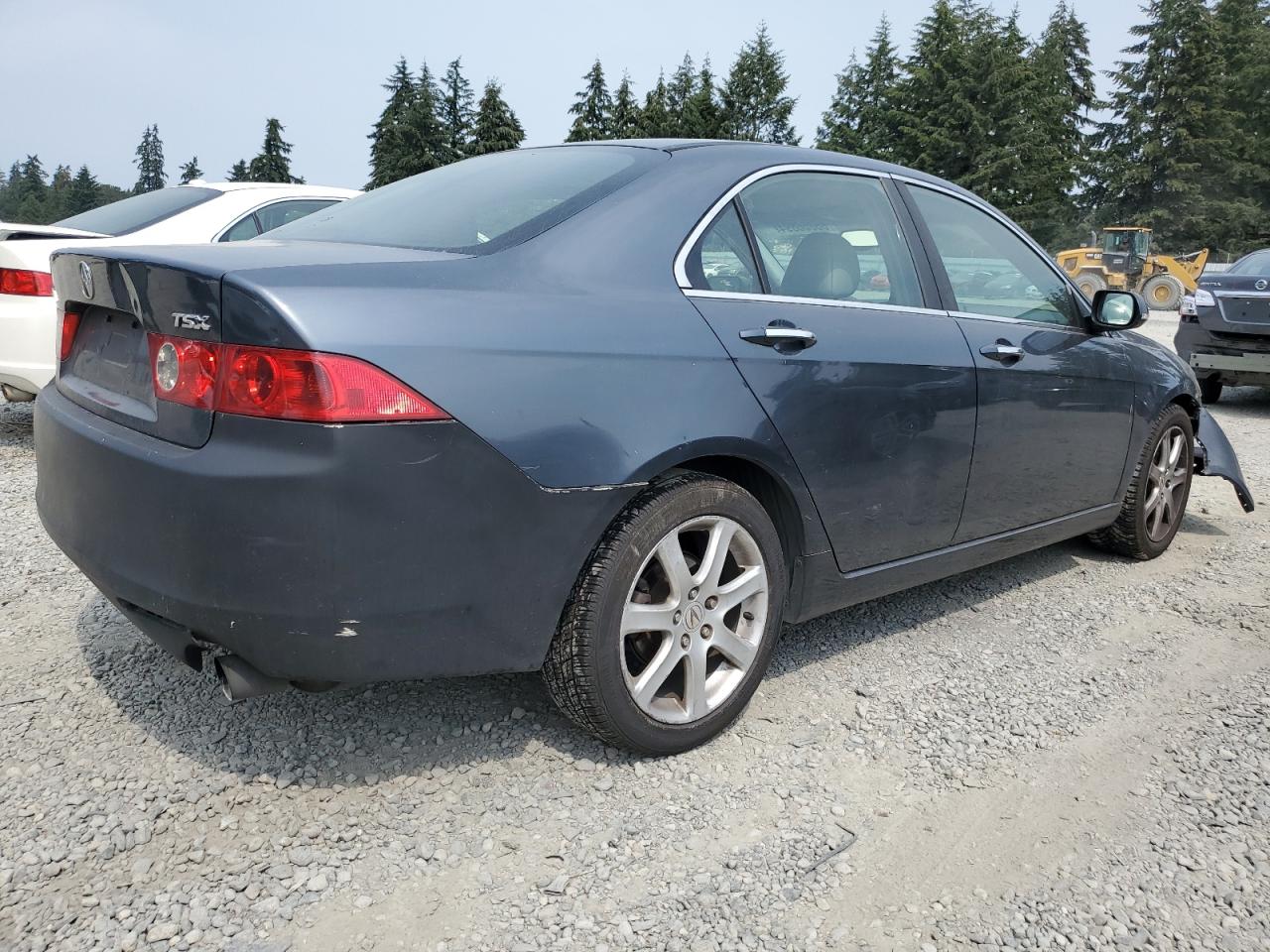2004 Acura Tsx VIN: JH4CL96984C036567 Lot: 66866894