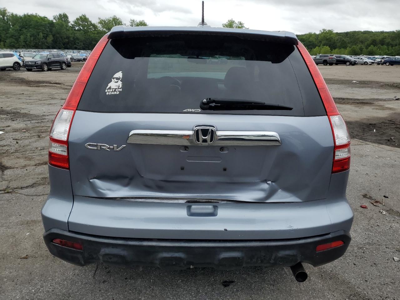 2008 Honda Cr-V Exl VIN: JHLRE487X8C054520 Lot: 66072964