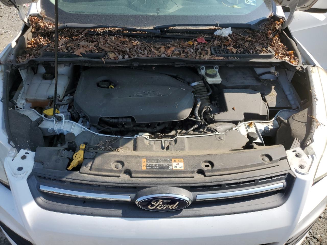 2014 Ford Escape Se VIN: 1FMCU9GX5EUE28439 Lot: 67147964