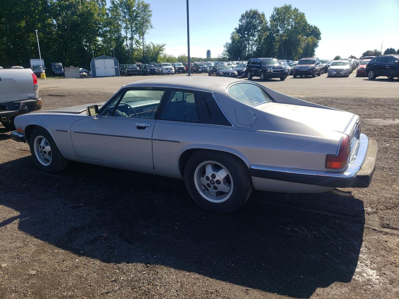 1986 Jaguar Xjs VIN: SAJNV5843GC131039 Lot: 67091114