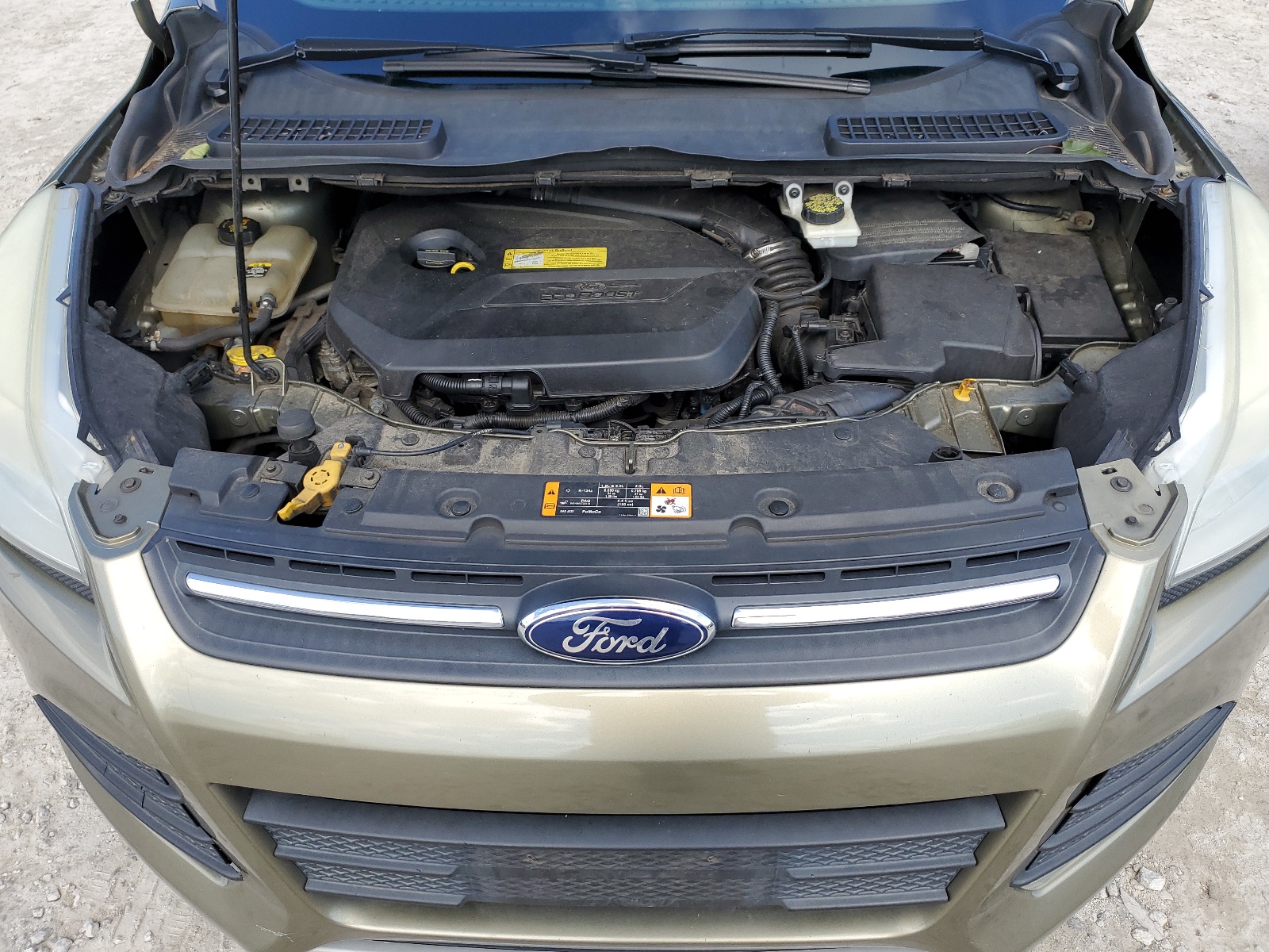 1FMCU9GX6DUC58185 2013 Ford Escape Se