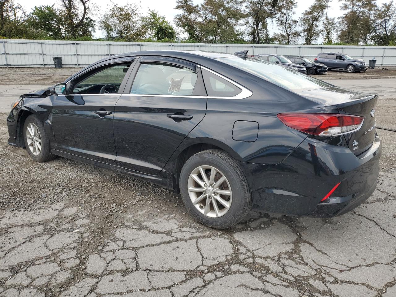 5NPE24AF4KH735712 2019 HYUNDAI SONATA - Image 2