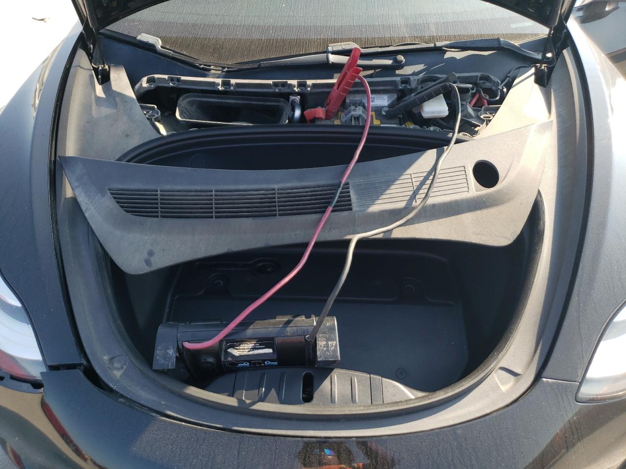 2019 Tesla Model 3 VIN: 5YJ3E1EA6KF323513 Lot: 66468464