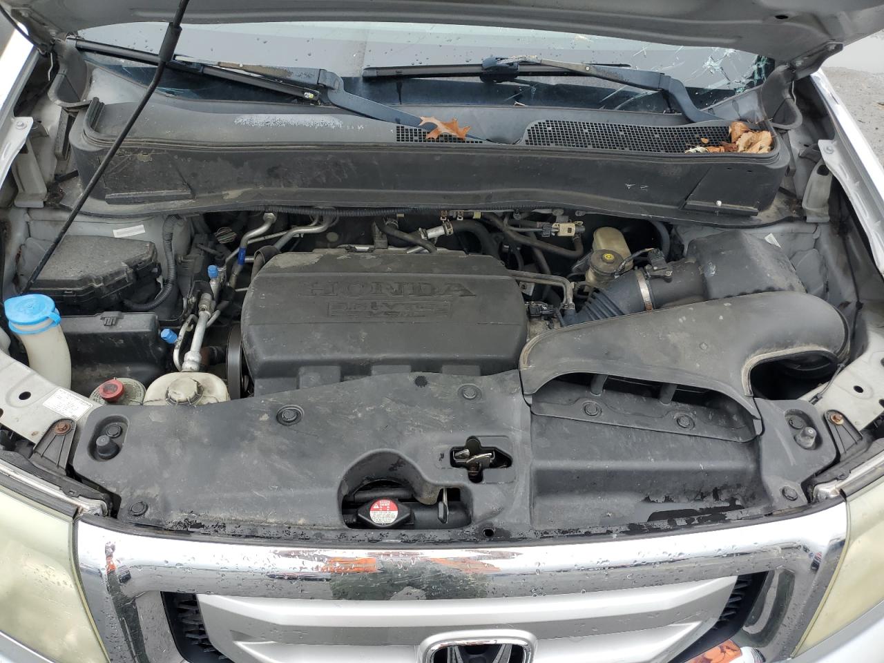 2011 Honda Pilot Exl VIN: 5FNYF4H50BB033772 Lot: 65933444