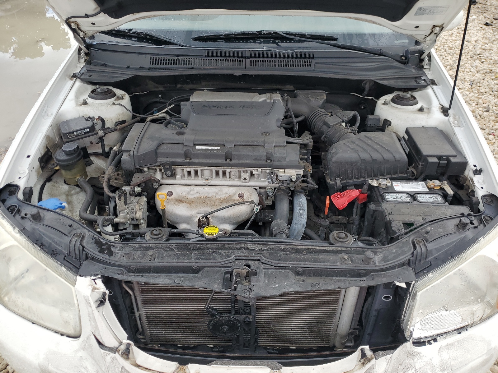 KNAFE121185570012 2008 Kia Spectra Ex