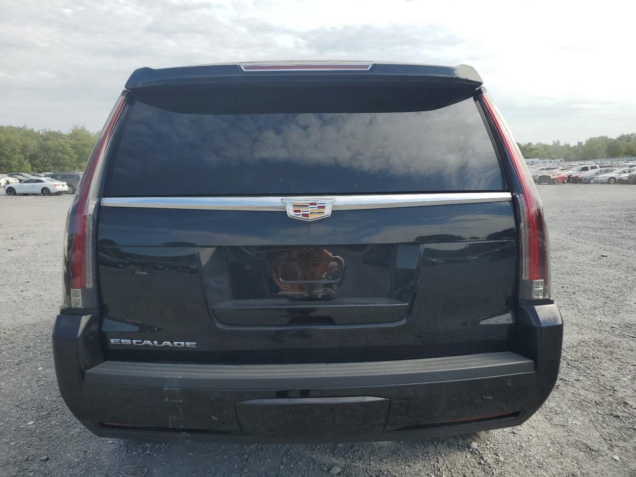 1GYS4CKJ6LR223867 Cadillac Escalade P 6