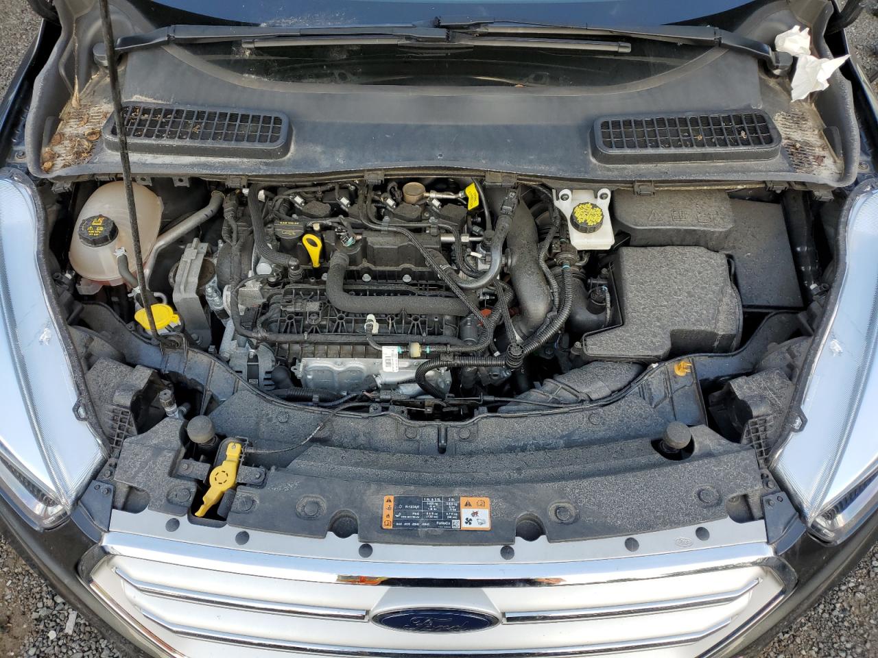 2019 Ford Escape Se VIN: 1FMCU9GD8KUA00365 Lot: 66944914