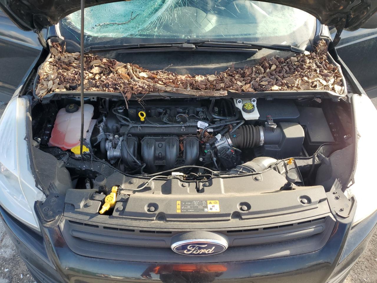 2016 Ford Escape S VIN: 1FMCU0F77GUC06291 Lot: 66122524