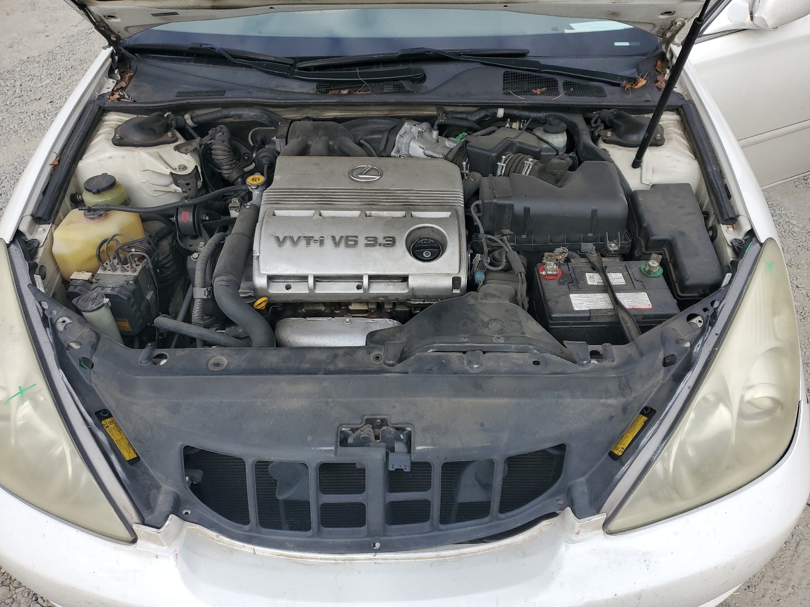 JTHBA30G965160229 2006 Lexus Es 330