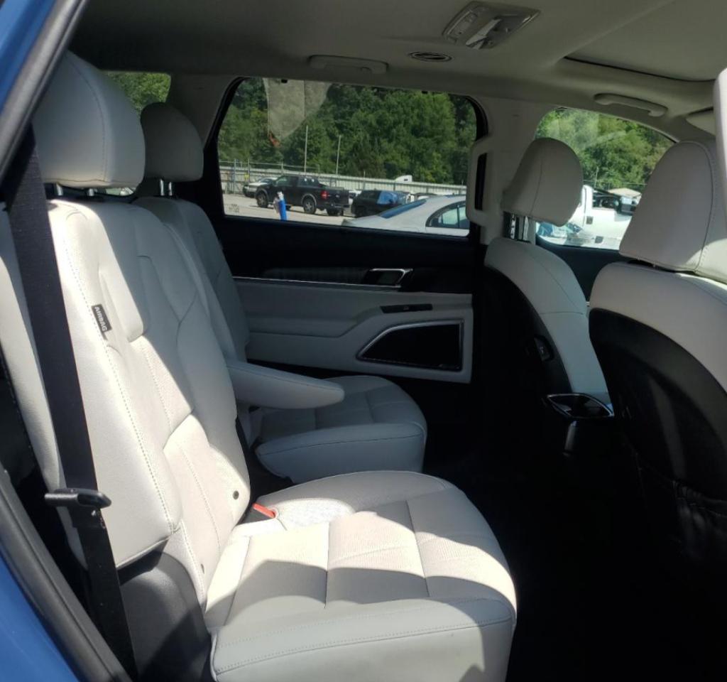 2024 Kia Telluride Ex VIN: 5XYP3DGC9RG497747 Lot: 67343774