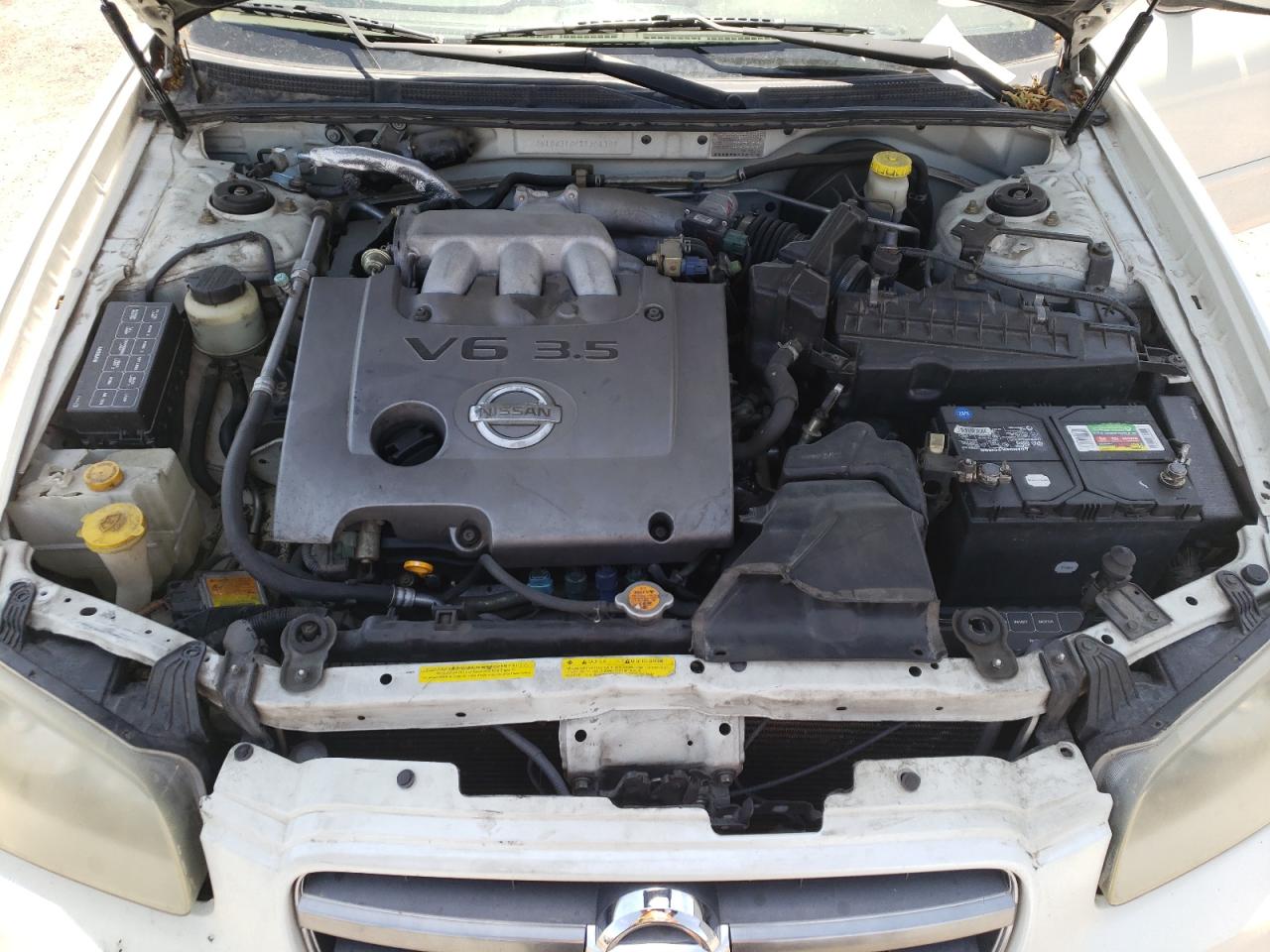 2002 Nissan Maxima Gle VIN: JN1DA31A02T304389 Lot: 64207584