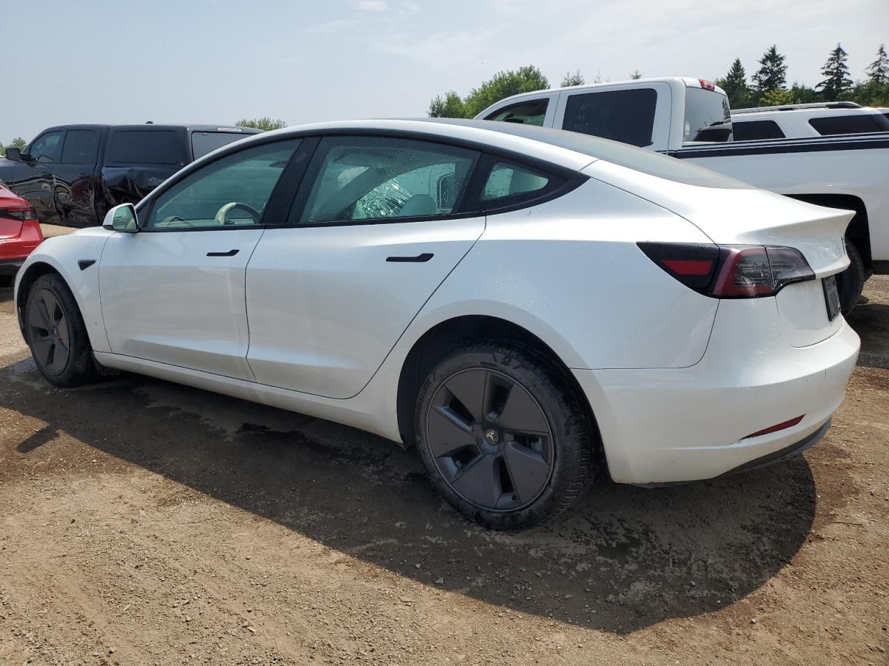 2023 Tesla Model 3 VIN: 5YJ3E1EA4PF557091 Lot: 65201564