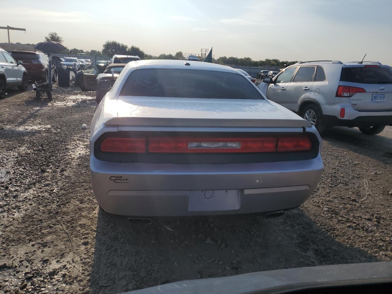 2010 Dodge Challenger R/T VIN: 2B3CJ5DT4AH313417 Lot: 66766504