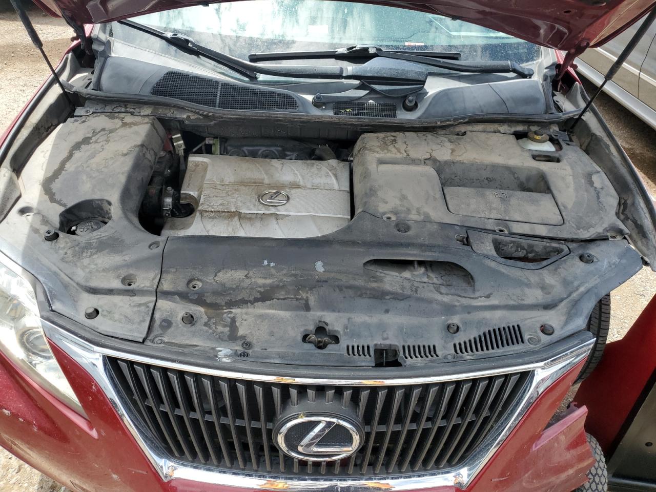 JTJZK1BA9A2406262 2010 Lexus Rx 350