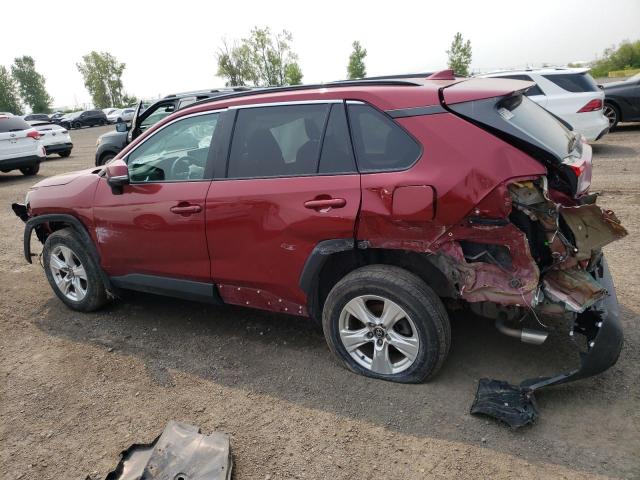  TOYOTA RAV4 2019 Burgundy