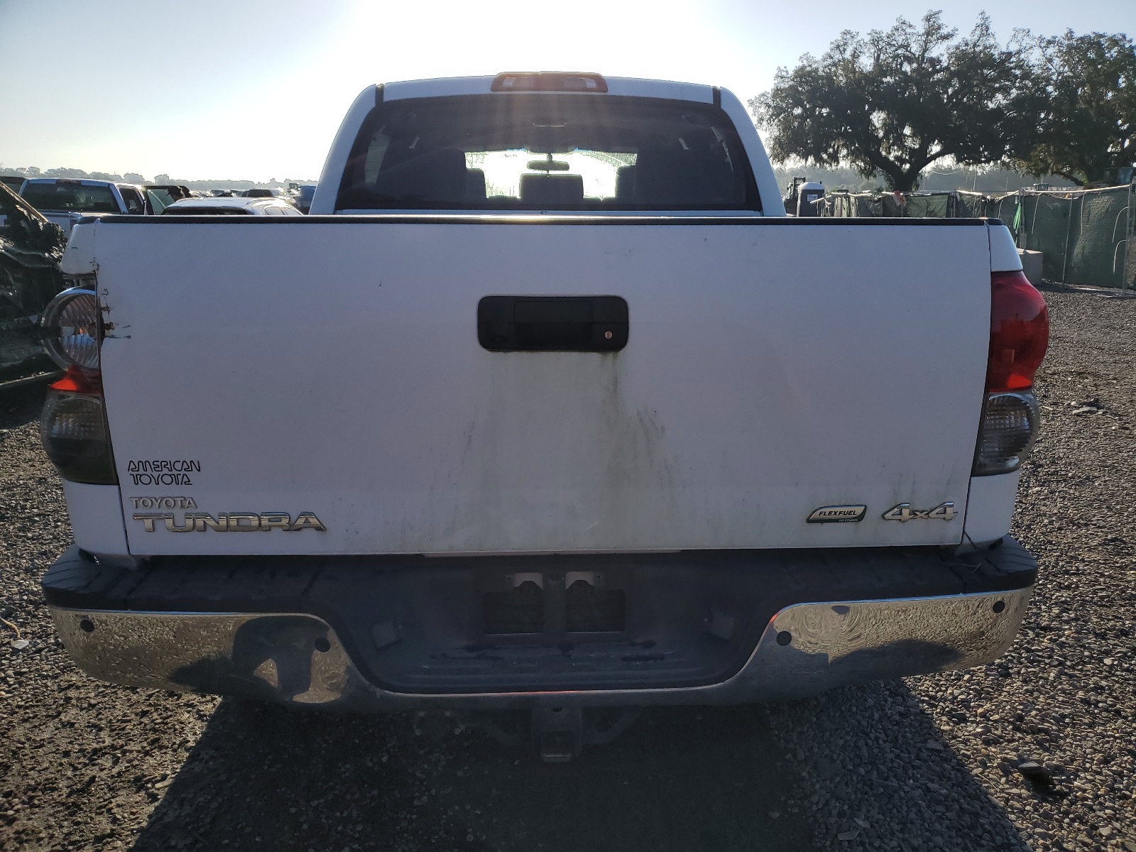 5TFDW54189X091877 2009 Toyota Tundra Crewmax