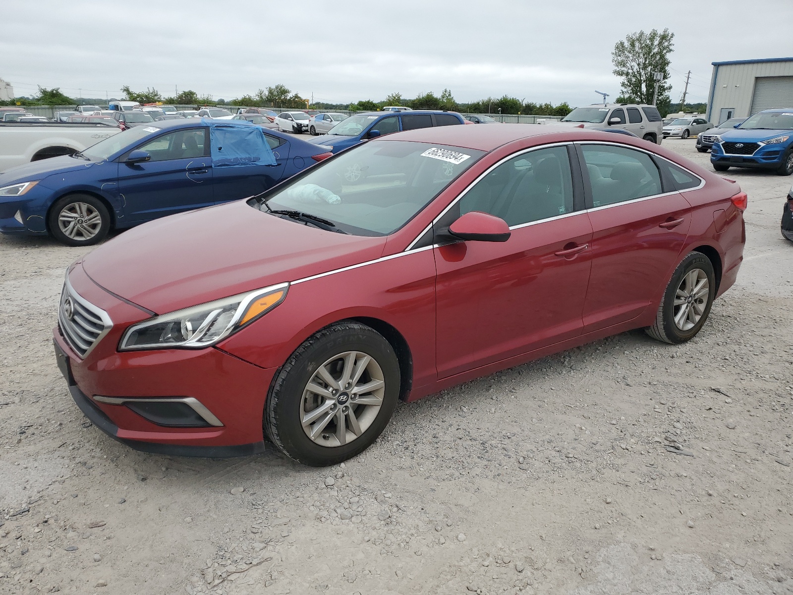 5NPE24AF8GH302160 2016 Hyundai Sonata Se