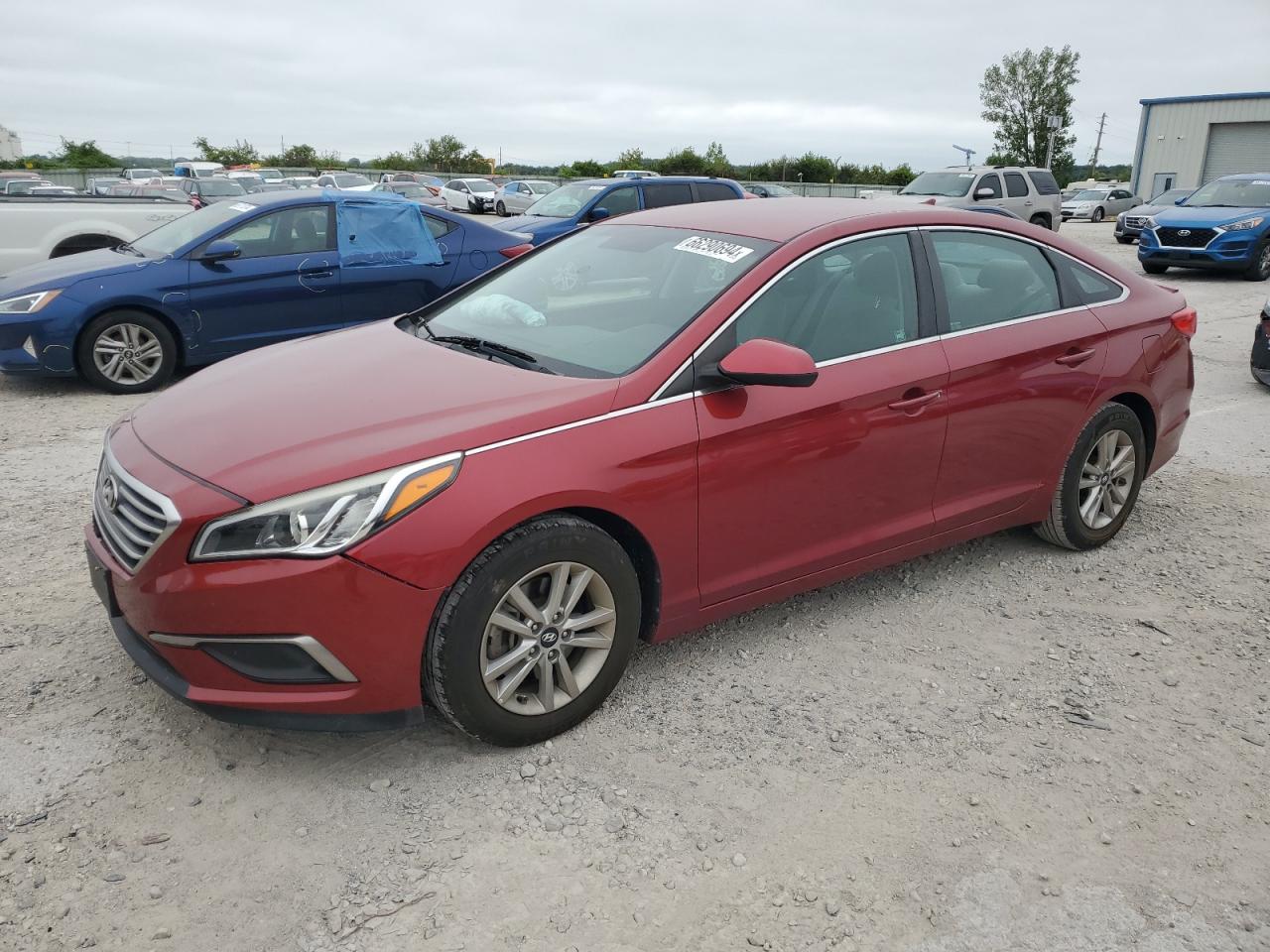 2016 Hyundai Sonata Se VIN: 5NPE24AF8GH302160 Lot: 66290694