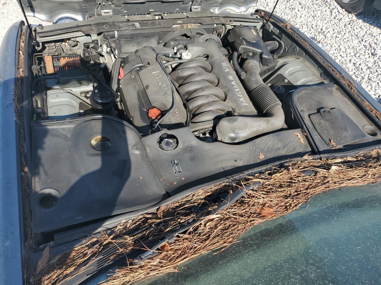 2002 Jaguar Vandenplas VIN: SAJDA24C92LF49362 Lot: 66238794