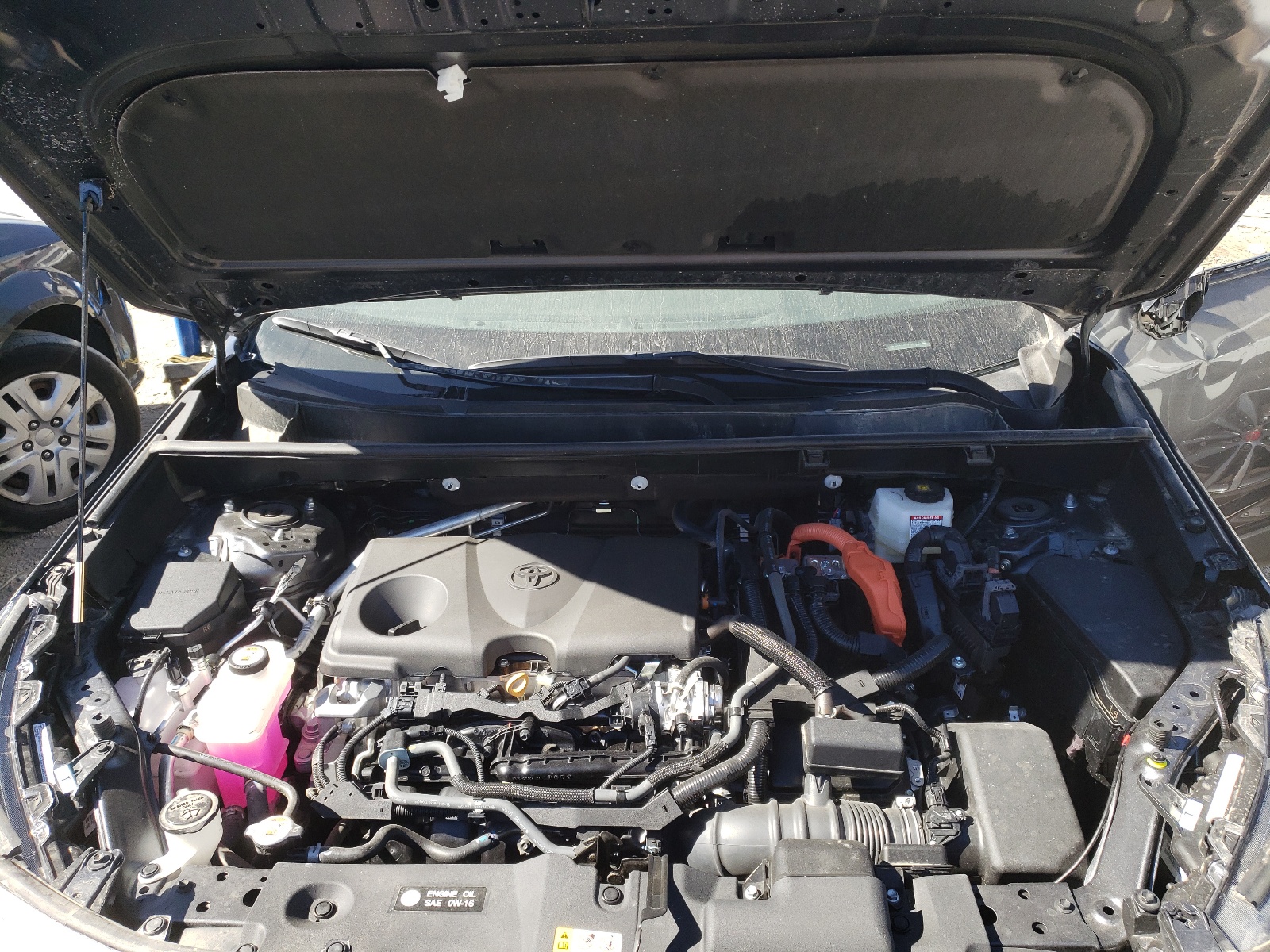 2T3MWRFV6RW196915 2024 Toyota Rav4 Le