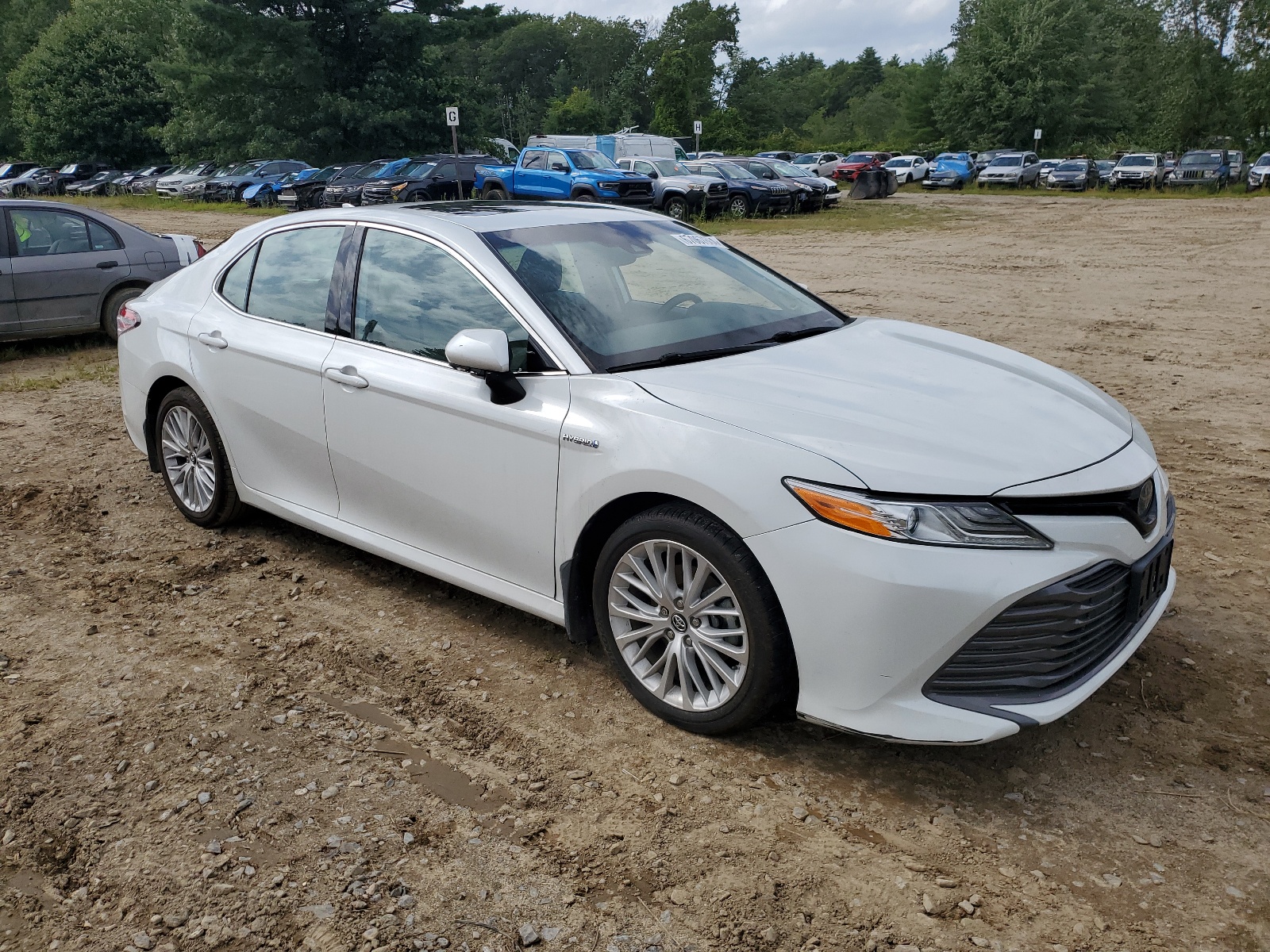 2019 Toyota Camry Hybrid vin: 4T1B21HKXKU014185