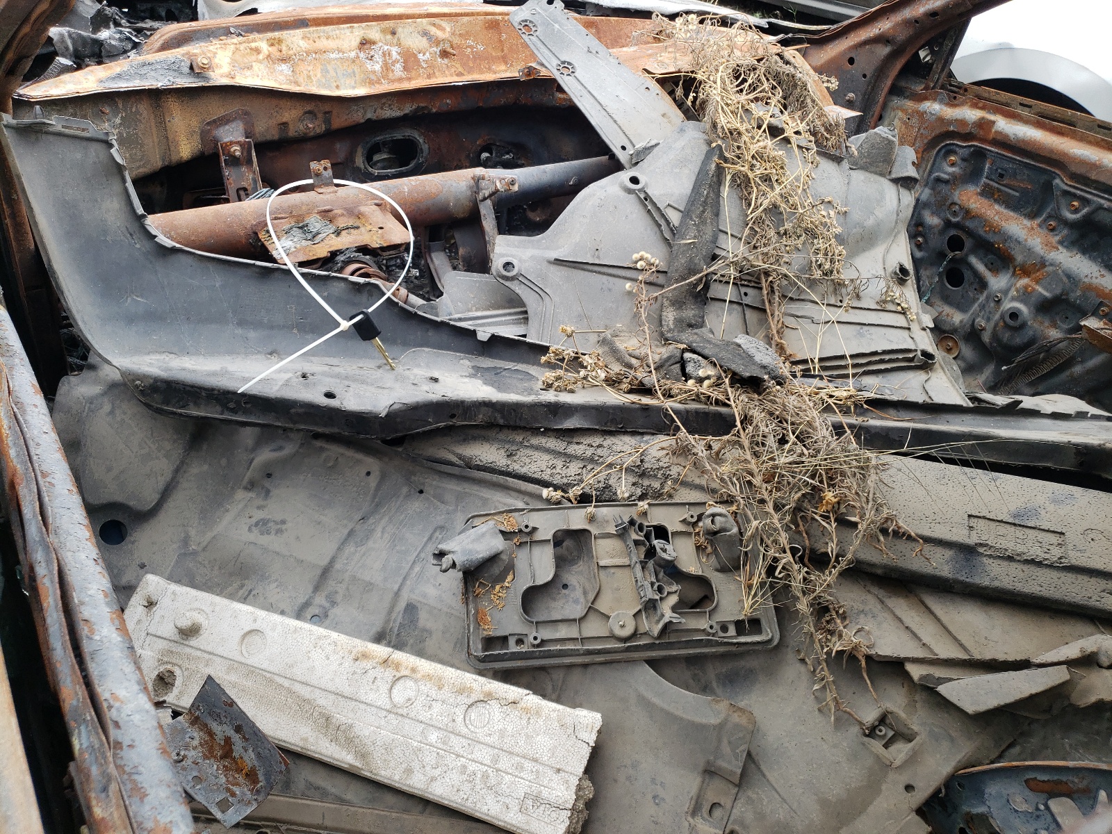 1N4AL11D74C102697 2004 Nissan Altima Base