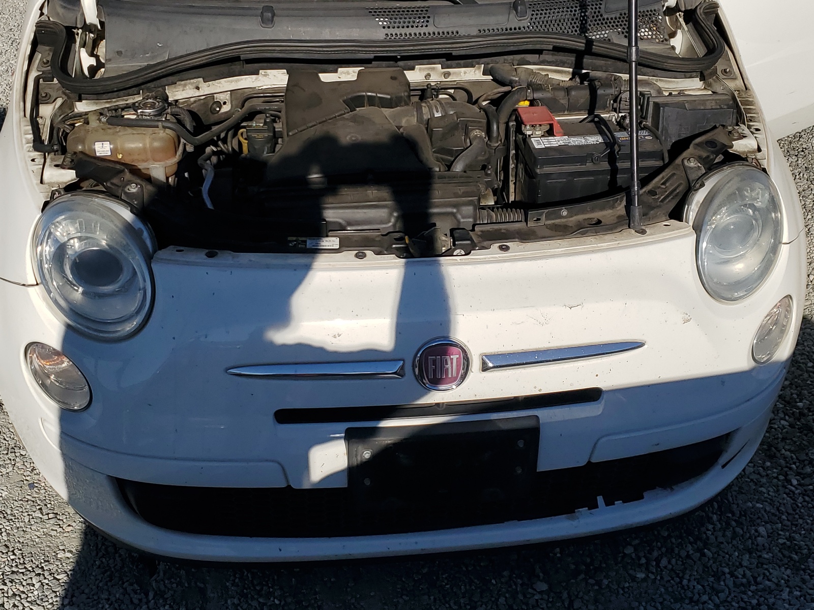 3C3CFFAR0ET293313 2014 Fiat 500 Pop