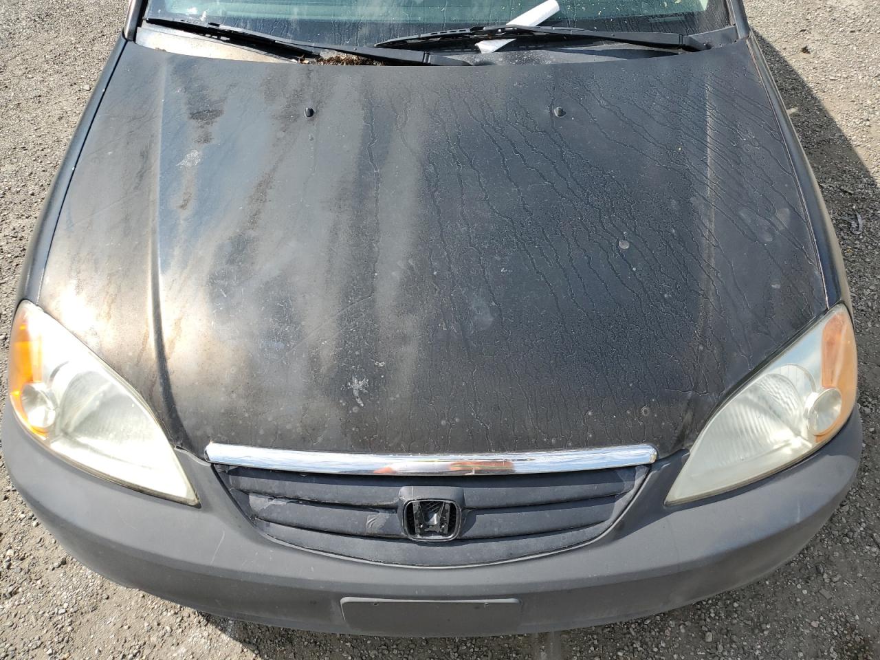 2003 Honda Civic Ex VIN: 2HGES26793H574209 Lot: 66741274