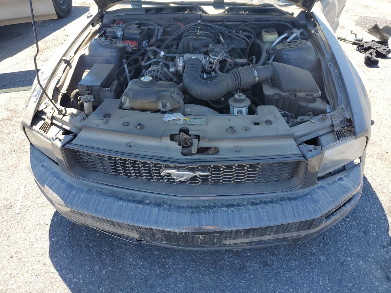 2007 Ford Mustang VIN: 1ZVFT80N375297707 Lot: 62147835