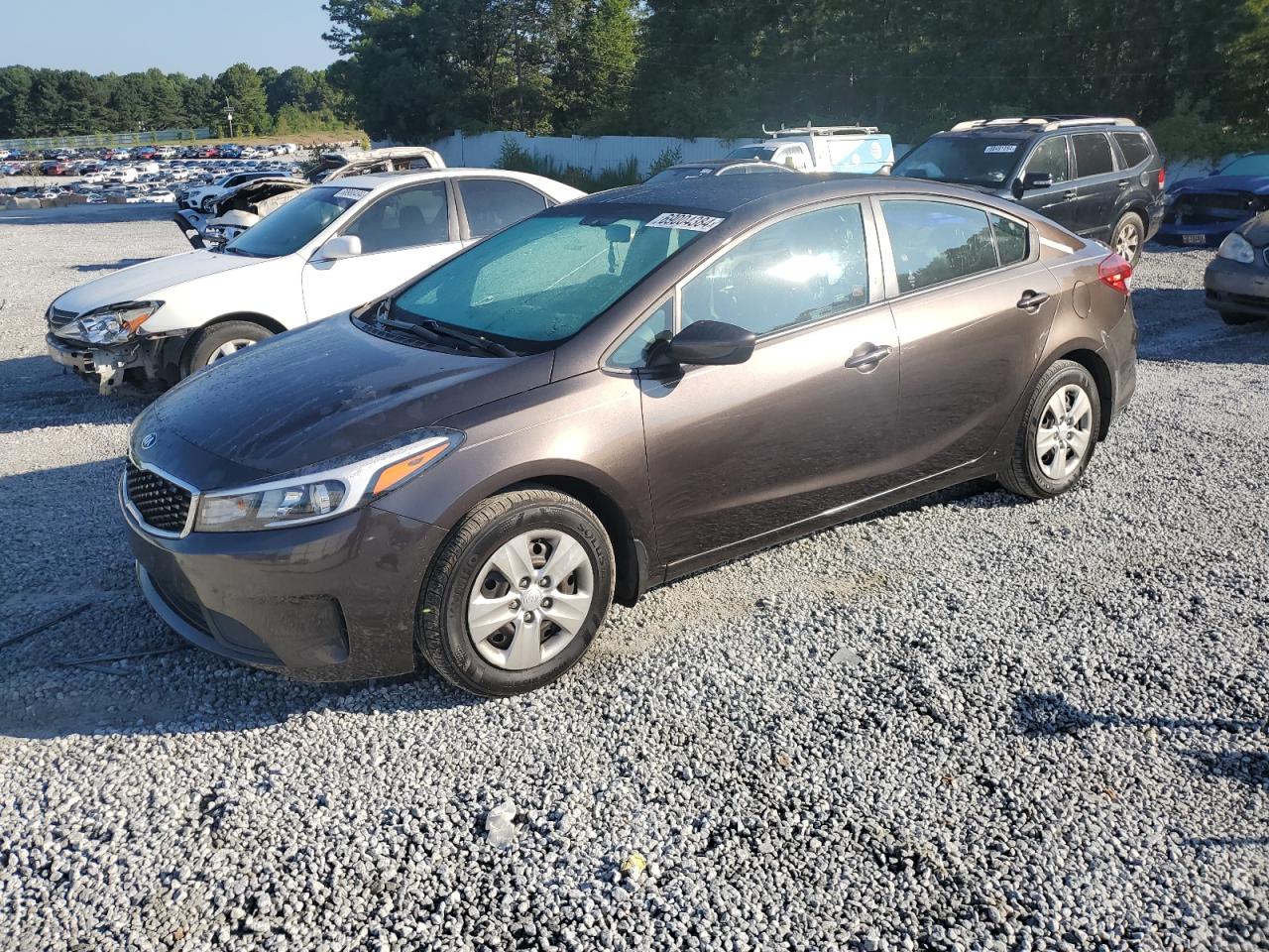 2018 Kia Forte Lx VIN: 3KPFK4A74JE166599 Lot: 69004384