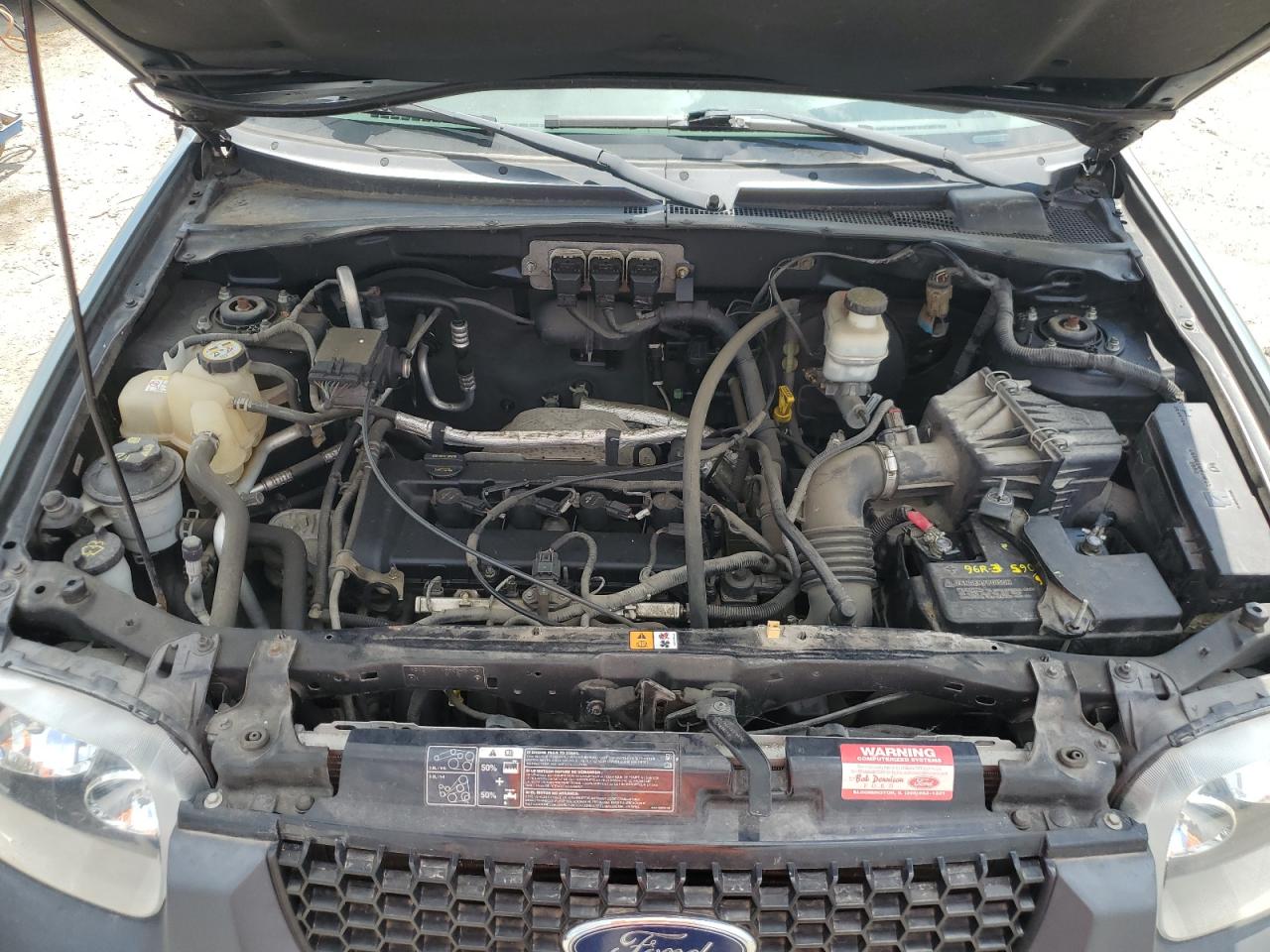 2005 Ford Escape Xlt VIN: 1FMYU93Z05KD43520 Lot: 66777864