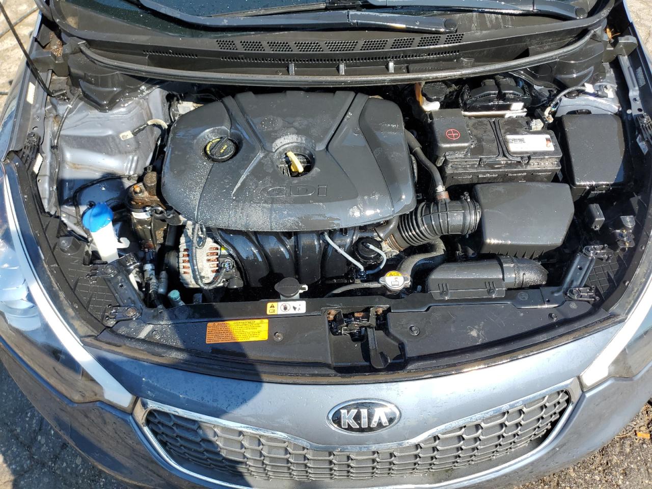 2016 Kia Forte Lx VIN: KNAFK5A88G5650601 Lot: 67334724