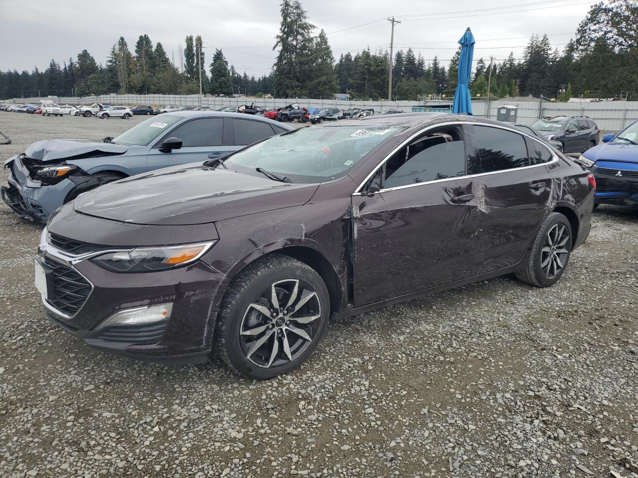 1G1ZG5ST0LF153382 2020 CHEVROLET MALIBU - Image 1