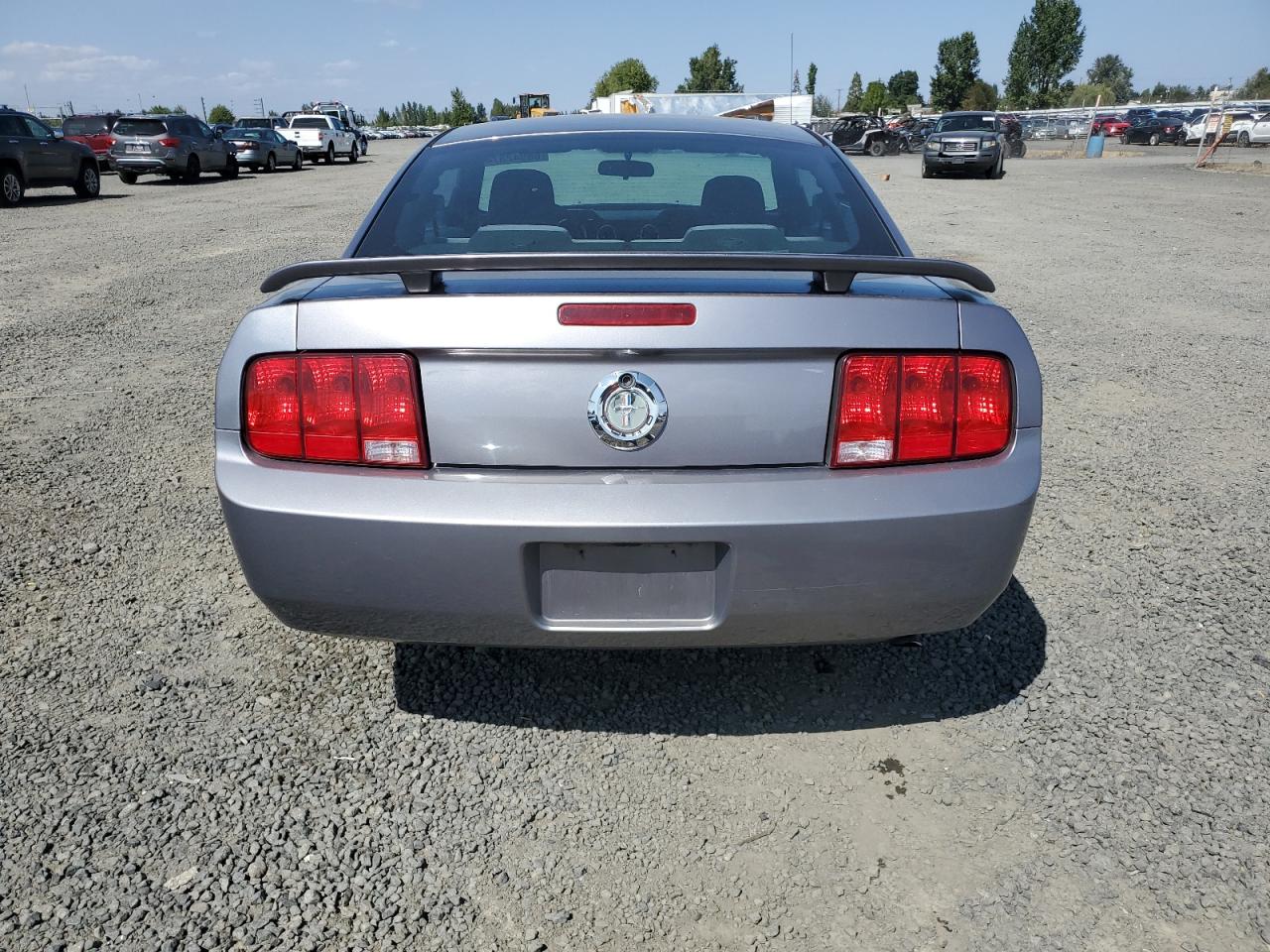 2006 Ford Mustang VIN: 1ZVFT80N465185416 Lot: 68942374