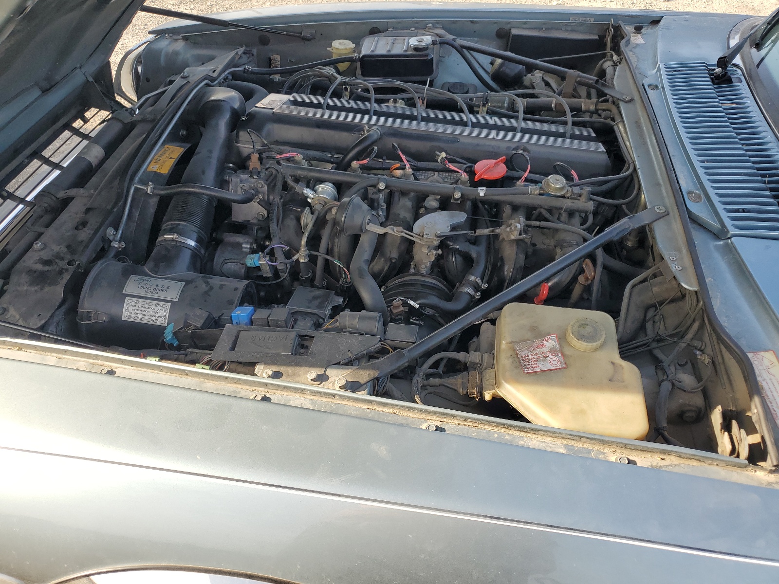 SAJNW4747PC186019 1993 Jaguar Xjs