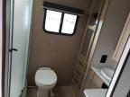 2020 Foresriver Surveyor for Sale in Brighton, CO - Hail