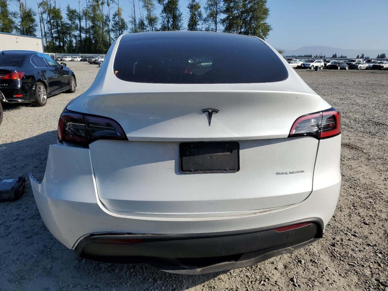 2023 Tesla Model Y VIN: 7SAYGDEE1PF621126 Lot: 65863804