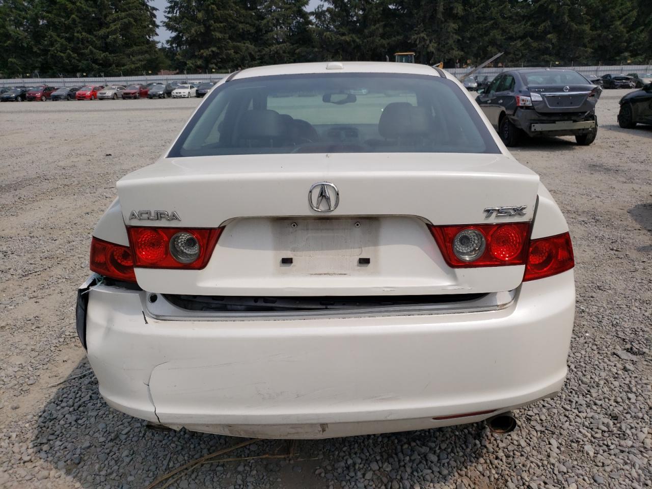 2006 Acura Tsx VIN: JH4CL96896C039083 Lot: 66318204